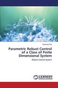 bokomslag Parametric Robust Control of a Class of Finite Dimensional System