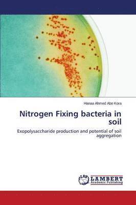 bokomslag Nitrogen Fixing bacteria in soil