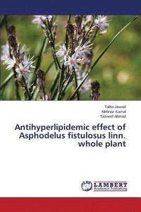 bokomslag Antihyperlipidemic effect of Asphodelus fistulosus linn. whole plant