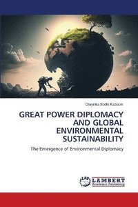 bokomslag Great Power Diplomacy and Global Environmental Sustainability