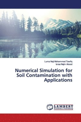 bokomslag Numerical Simulation for Soil Contamination with Applications