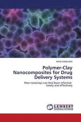 bokomslag Polymer-Clay Nanocomposites for Drug Delivery Systems