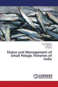bokomslag Status and Management of Small Pelagic Fisheries of India