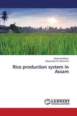 Rice production system in Assam 1