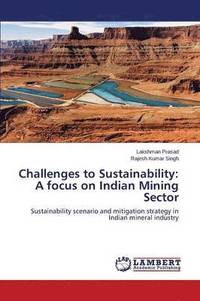 bokomslag Challenges to Sustainability