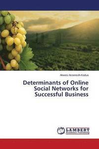 bokomslag Determinants of Online Social Networks for Successful Business