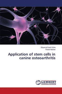 bokomslag Application of stem cells in canine osteoarthritis