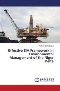 bokomslag Effective EIA Framework in Environmental Management of the Niger Delta