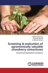 bokomslag Screening & evaluation of agronomically valuable strawberry somaclones