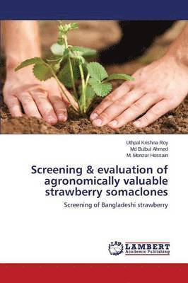 Screening & evaluation of agronomically valuable strawberry somaclones 1