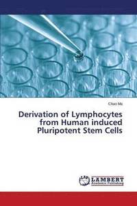 bokomslag Derivation of Lymphocytes from Human induced Pluripotent Stem Cells
