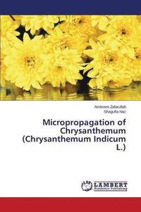 bokomslag Micropropagation of Chrysanthemum (Chrysanthemum Indicum L.)