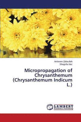 bokomslag Micropropagation of Chrysanthemum (Chrysanthemum Indicum L.)