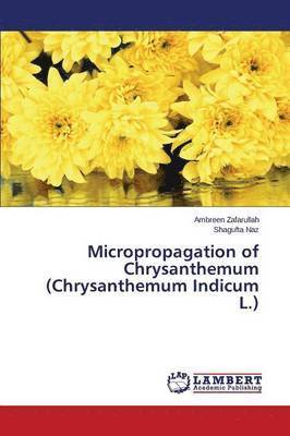 Micropropagation of Chrysanthemum (Chrysanthemum Indicum L.) 1
