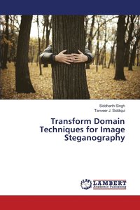 bokomslag Transform Domain Techniques for Image Steganography