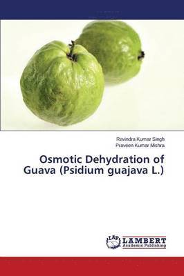 Osmotic Dehydration of Guava (Psidium guajava L.)