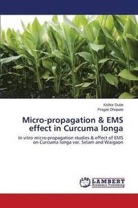 bokomslag Micro-propagation & EMS effect in Curcuma longa