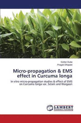 Micro-propagation & EMS effect in Curcuma longa 1