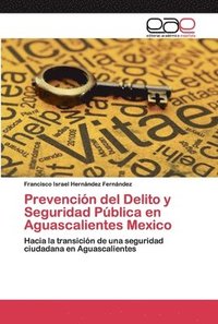 bokomslag Prevencion del Delito y Seguridad Publica en Aguascalientes Mexico