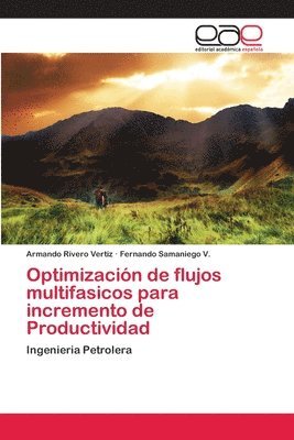 Optimizacin de flujos multifasicos para incremento de Productividad 1