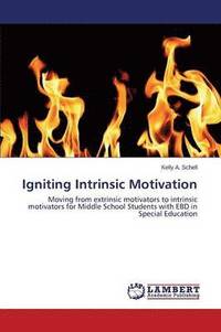 bokomslag Igniting Intrinsic Motivation