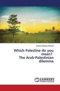 bokomslag Which Palestine do you mean? The Arab-Palestinian dilemma