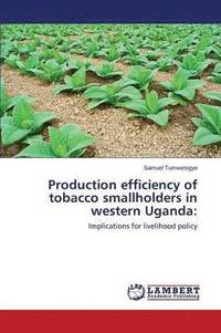 bokomslag Production efficiency of tobacco smallholders in western Uganda