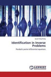 bokomslag Identification in Inverse Problems