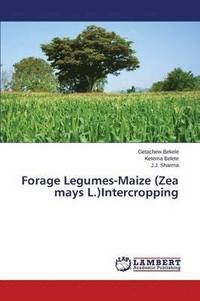 bokomslag Forage Legumes-Maize (Zea mays L.)Intercropping