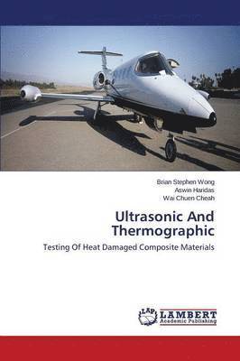 Ultrasonic And Thermographic 1