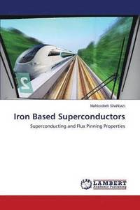 bokomslag Iron Based Superconductors