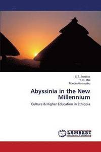 bokomslag Abyssinia in the New Millennium