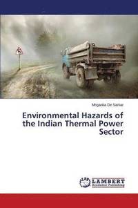 bokomslag Environmental Hazards of the Indian Thermal Power Sector