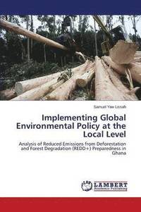 bokomslag Implementing Global Environmental Policy at the Local Level