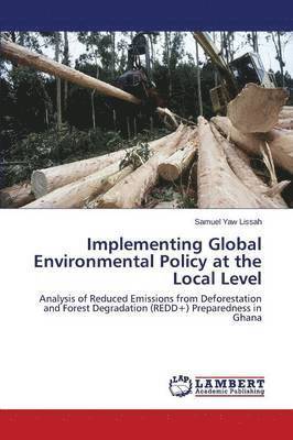 Implementing Global Environmental Policy at the Local Level 1