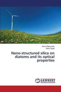 bokomslag Nano-structured silica on diatoms and its optical properties