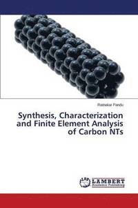 bokomslag Synthesis, Characterization and Finite Element Analysis of Carbon NTs