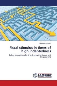 bokomslag Fiscal stimulus in times of high indebtedness