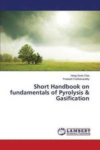 bokomslag Short Handbook on fundamentals of Pyrolysis & Gasification