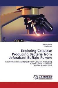 bokomslag Exploring Cellulase Producing Bacteria from Jafarabadi Buffalo Rumen
