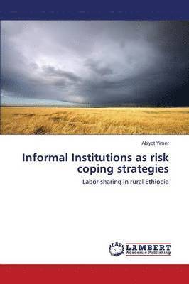 bokomslag Informal Institutions as risk coping strategies