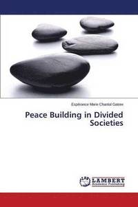bokomslag Peace Building in Divided Societies