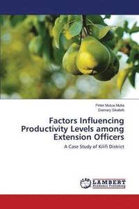 bokomslag Factors Influencing Productivity Levels among Extension Officers