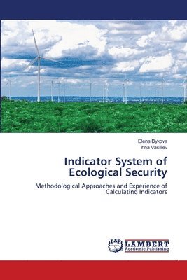 bokomslag Indicator System of Ecological Security