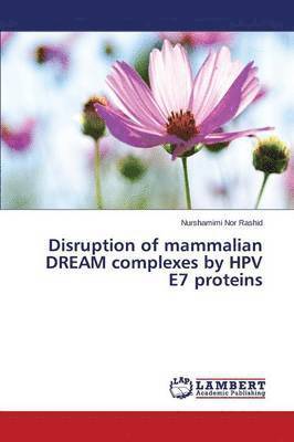 Disruption of mammalian DREAM complexes by HPV E7 proteins 1