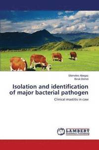 bokomslag Isolation and identification of major bacterial pathogen