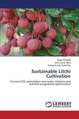 Sustainable Litchi Cultivation 1