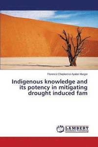 bokomslag Indigenous knowledge and its potency in mitigating drought induced fam