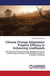 bokomslag Climate Change Adaptation Projects' Efficacy in Enhancing Livelihoods