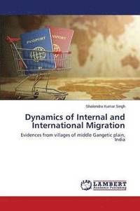 bokomslag Dynamics of Internal and International Migration